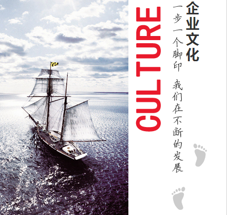 公司概况